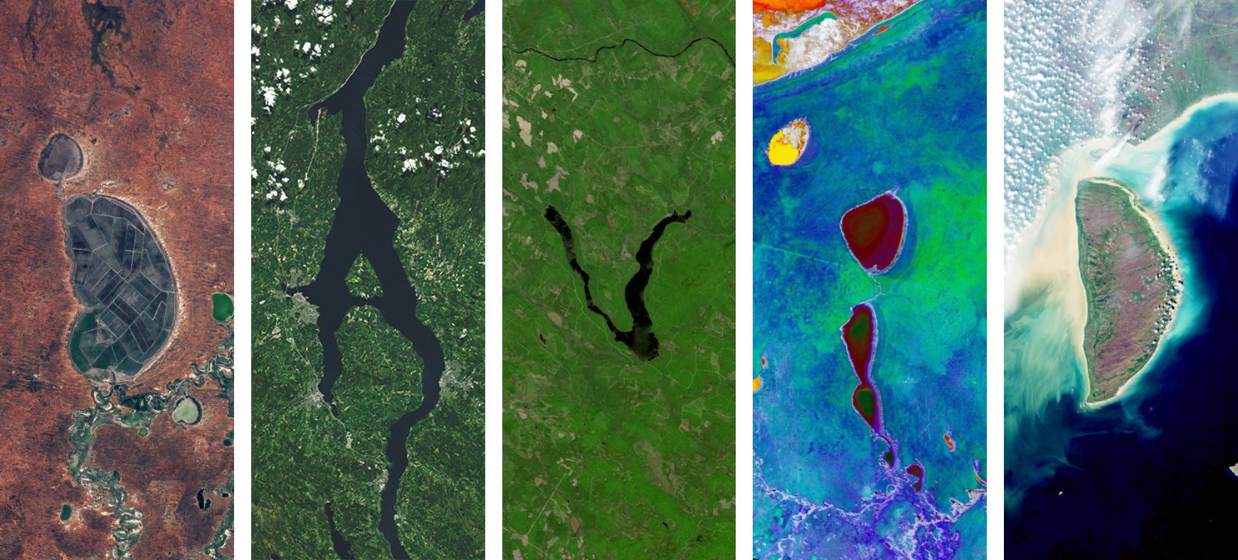 DAVID in NASA Landsat imagery